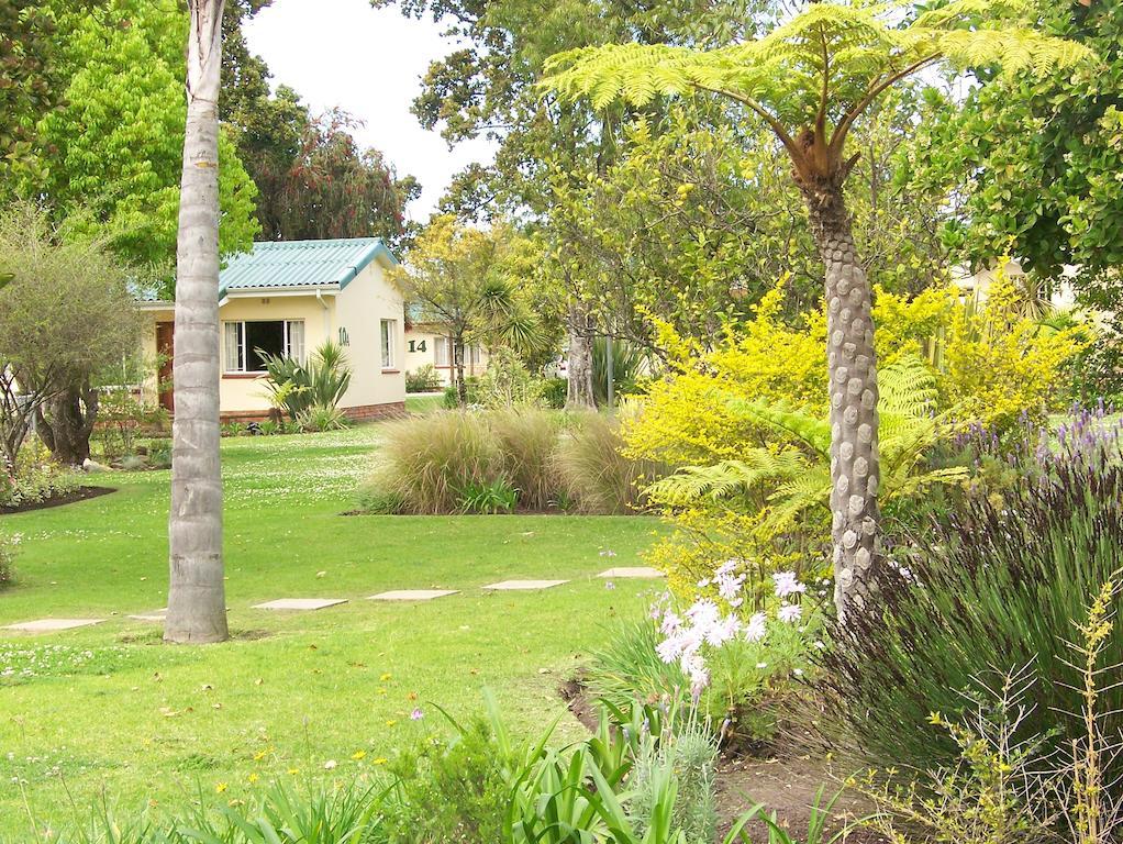 ג'ורג' Pine Lodge Resort מראה חיצוני תמונה